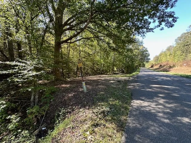 0 Sales Landing Rd Camden, TN 38320