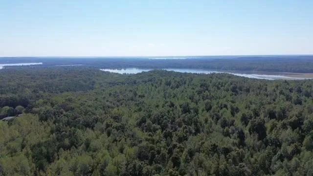 0 Sales Landing Rd Camden, TN 38320