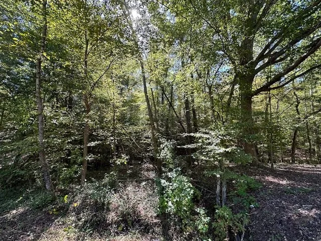 0 Sales Landing Rd Camden, TN 38320
