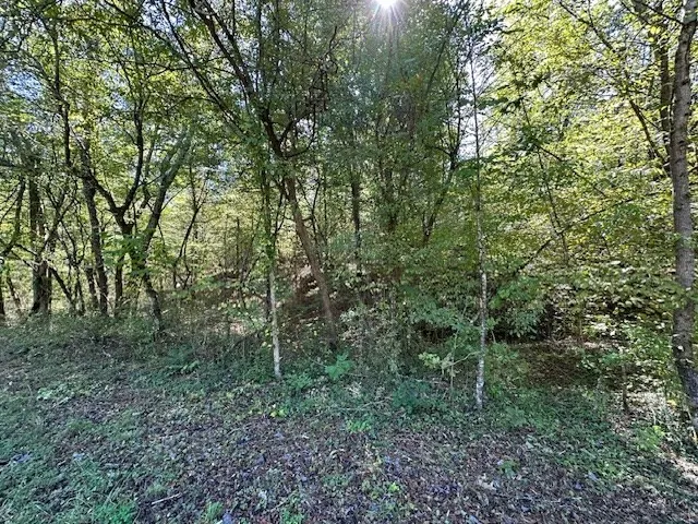 0 Sales Landing Rd Camden, TN 38320