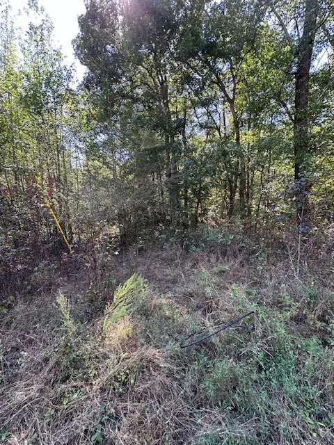 0 Sales Landing Rd Camden, TN 38320