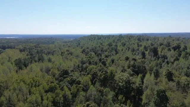 0 Sales Landing Rd Camden, TN 38320