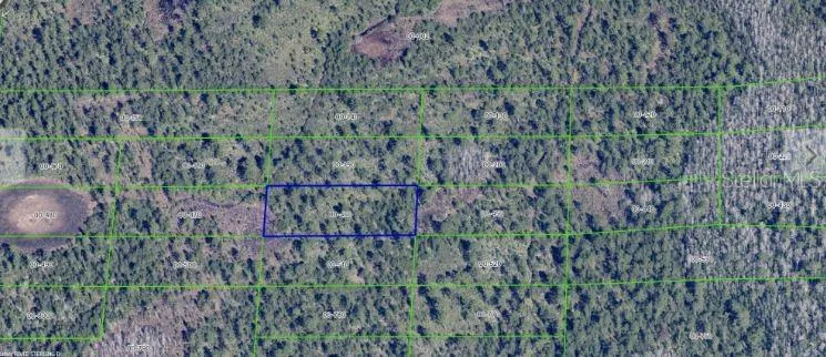 DILL ROAD Orlando, FL 32820