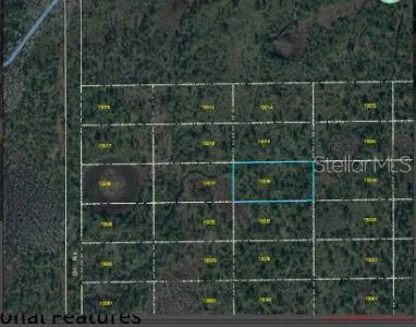 DILL ROAD Orlando, FL 32820