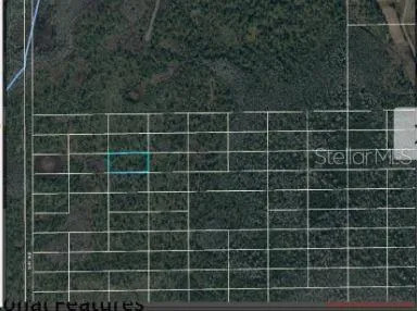 DILL ROAD Orlando, FL 32820