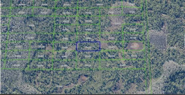 DILL ROAD Orlando, FL 32820