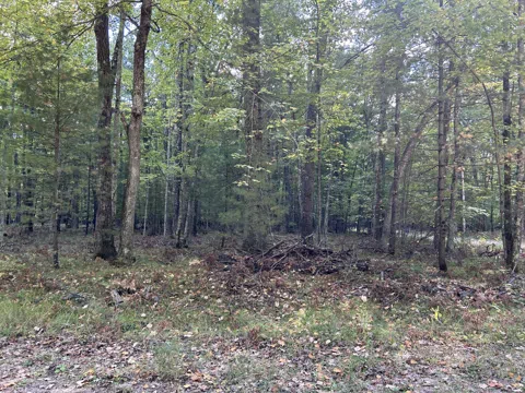 Trail Of The Lakes