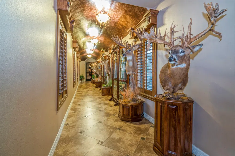 244 County Road 373 Sandia, TX 78383