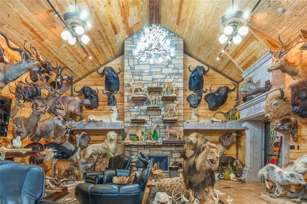 244 County Road 373 Sandia, TX 78383
