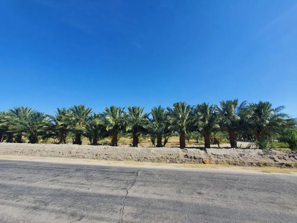 Calhoun Street Coachella, CA 92236