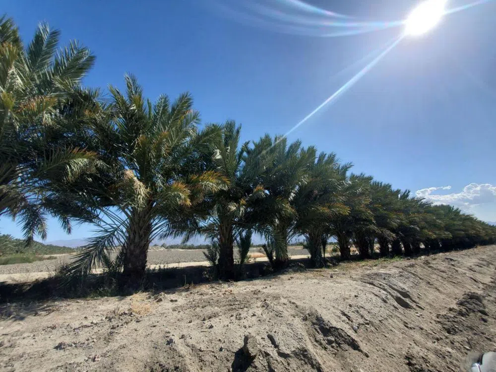Calhoun Street Coachella, CA 92236