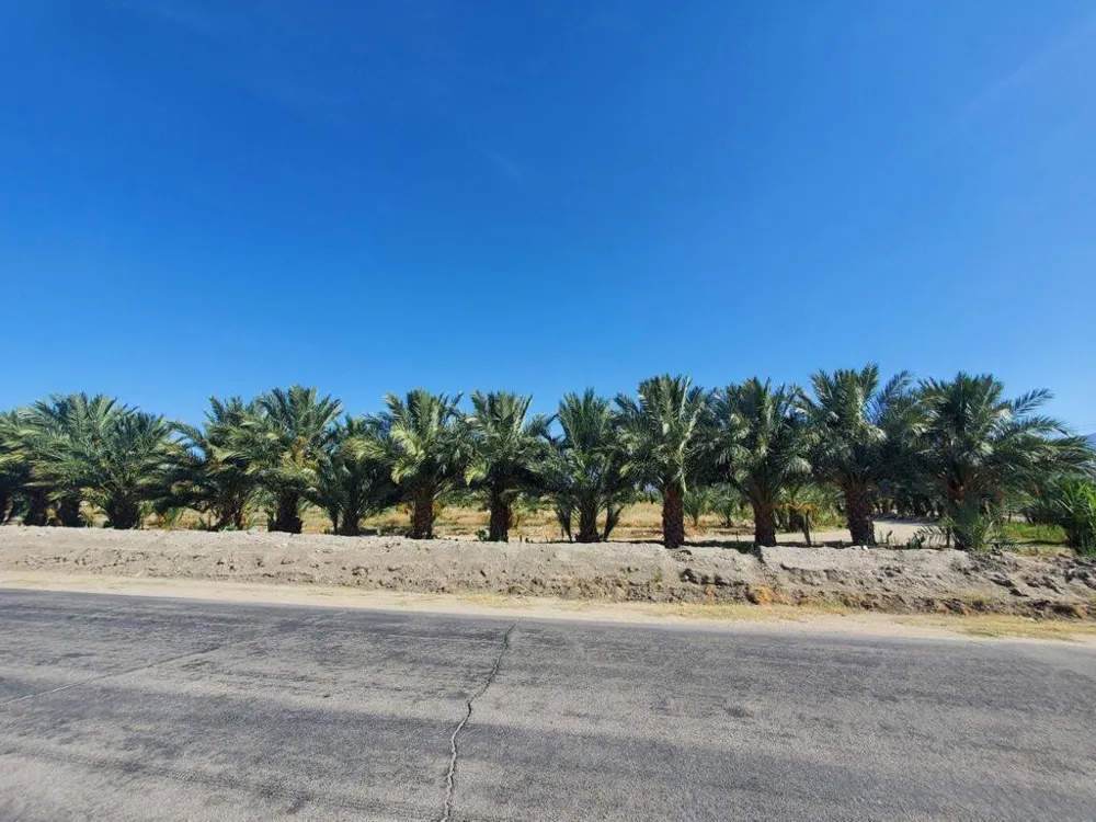 Calhoun Street Coachella, CA 92236