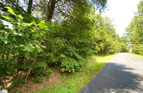 68 Stepp Ridge Court