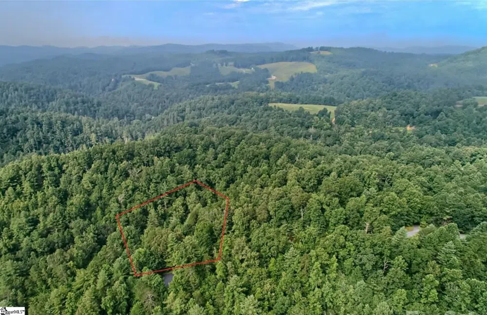 68 Stepp Ridge Court Hendersonville, NC 28792