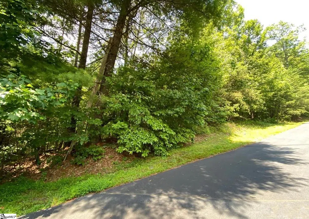68 Stepp Ridge Court Hendersonville, NC 28792