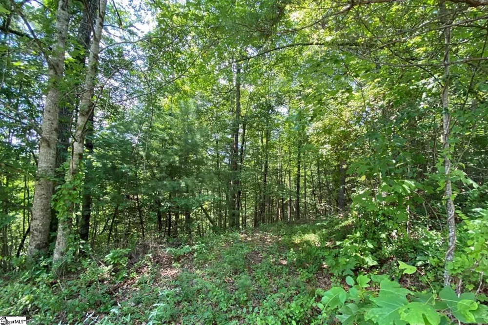 68 Stepp Ridge Court Hendersonville, NC 28792