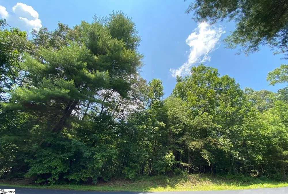 68 Stepp Ridge Court Hendersonville, NC 28792