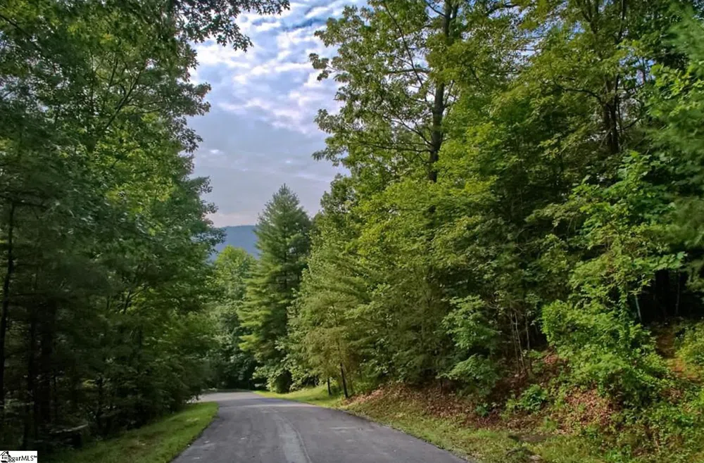 68 Stepp Ridge Court Hendersonville, NC 28792