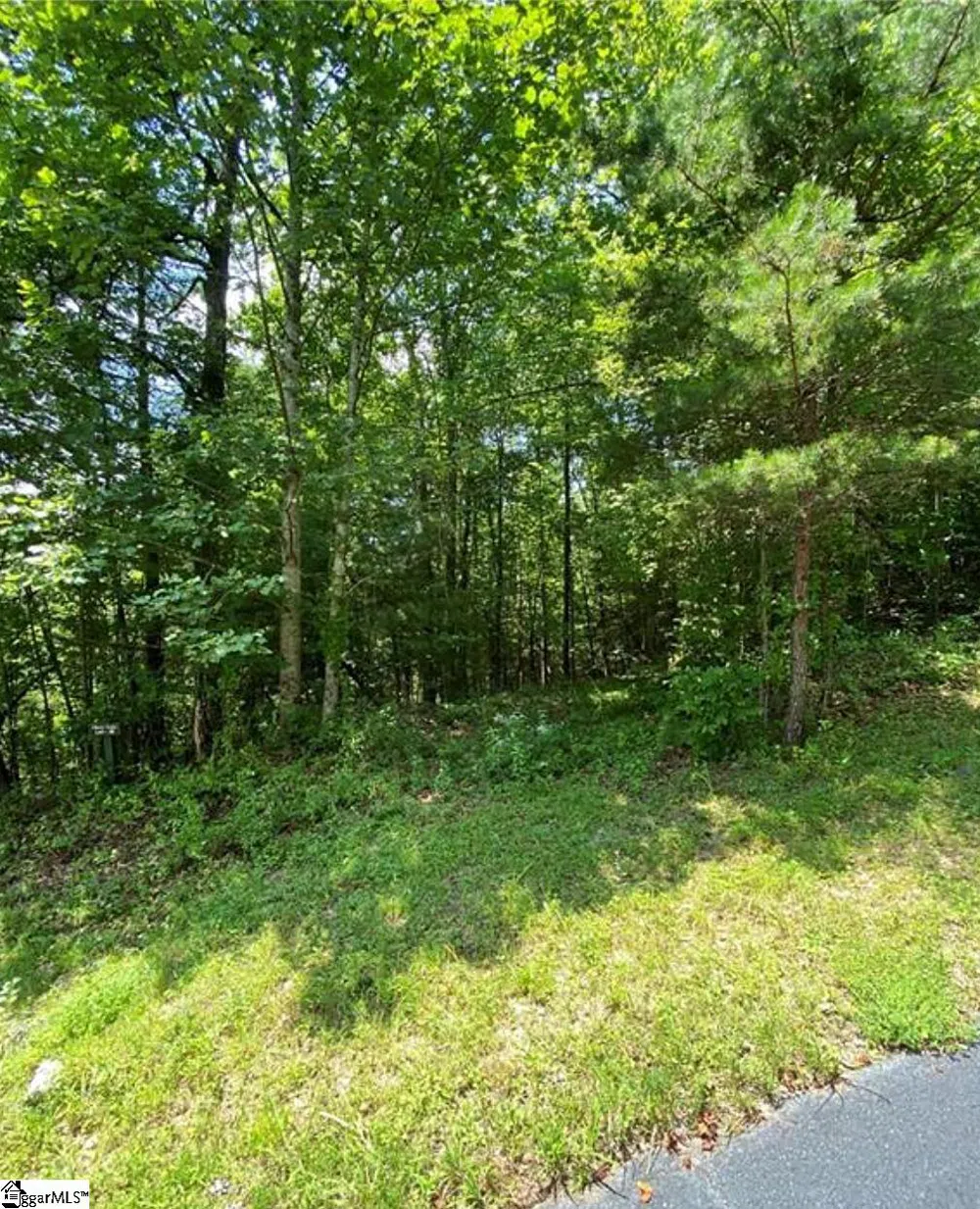 68 Stepp Ridge Court Hendersonville, NC 28792