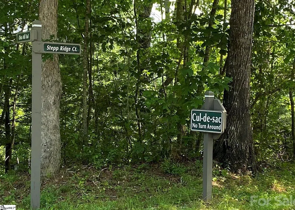 68 Stepp Ridge Court Hendersonville, NC 28792