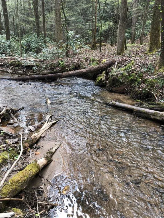 0 Wolf Howl Trail Sautee Nacoochee, GA 30571