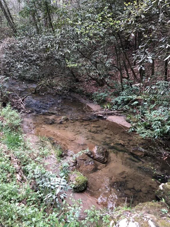 0 Wolf Howl Trail Sautee Nacoochee, GA 30571