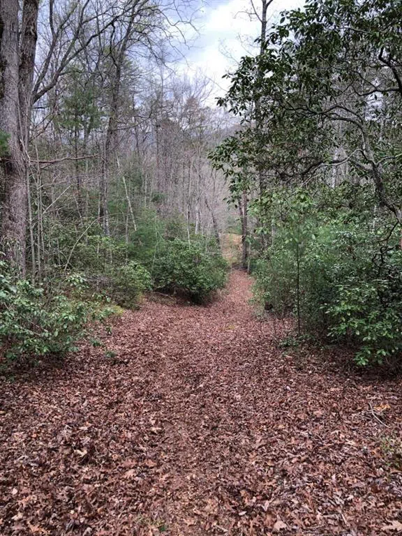 0 Wolf Howl Trail Sautee Nacoochee, GA 30571