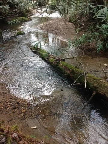 0 Wolf Howl Trail Sautee Nacoochee, GA 30571