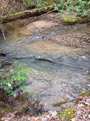 0 Wolf Howl Trail Sautee Nacoochee, GA 30571