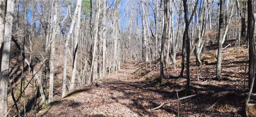11953 Henderson Mountain Road Fairmount, GA 30139
