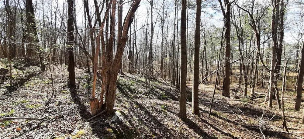 11953 Henderson Mountain Road Fairmount, GA 30139