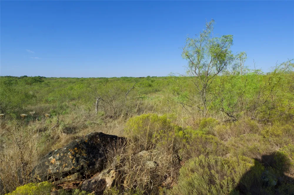HWY 81 Ringgold, TX 76261