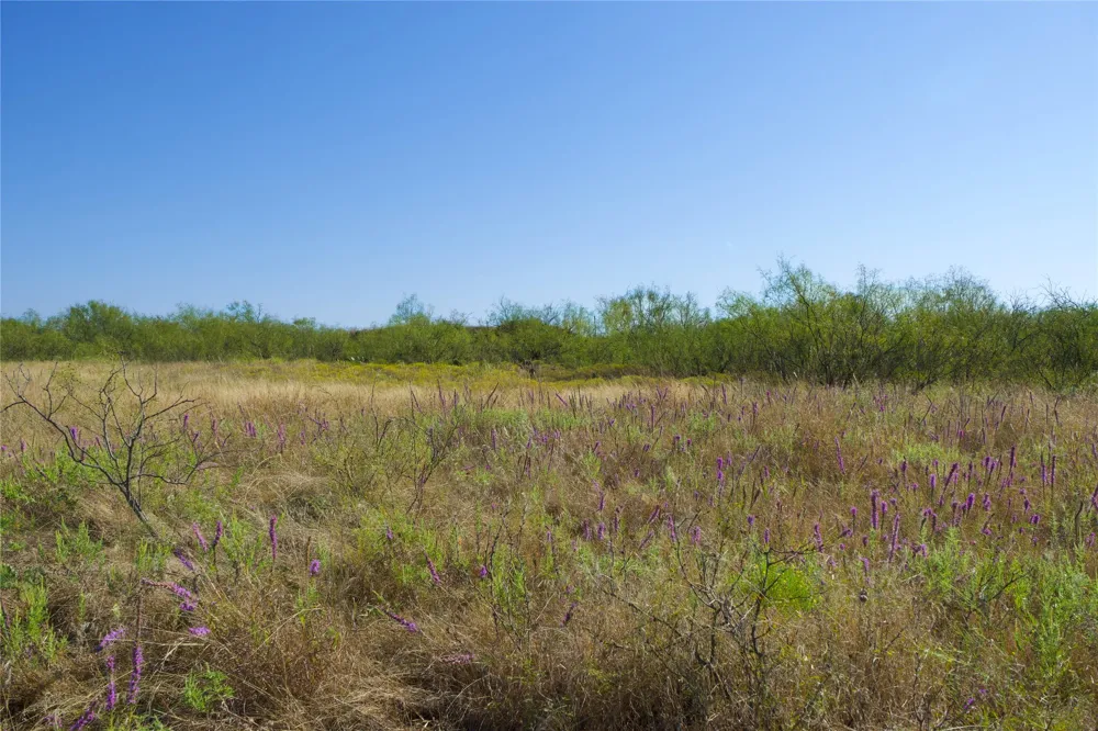 HWY 81 Ringgold, TX 76261