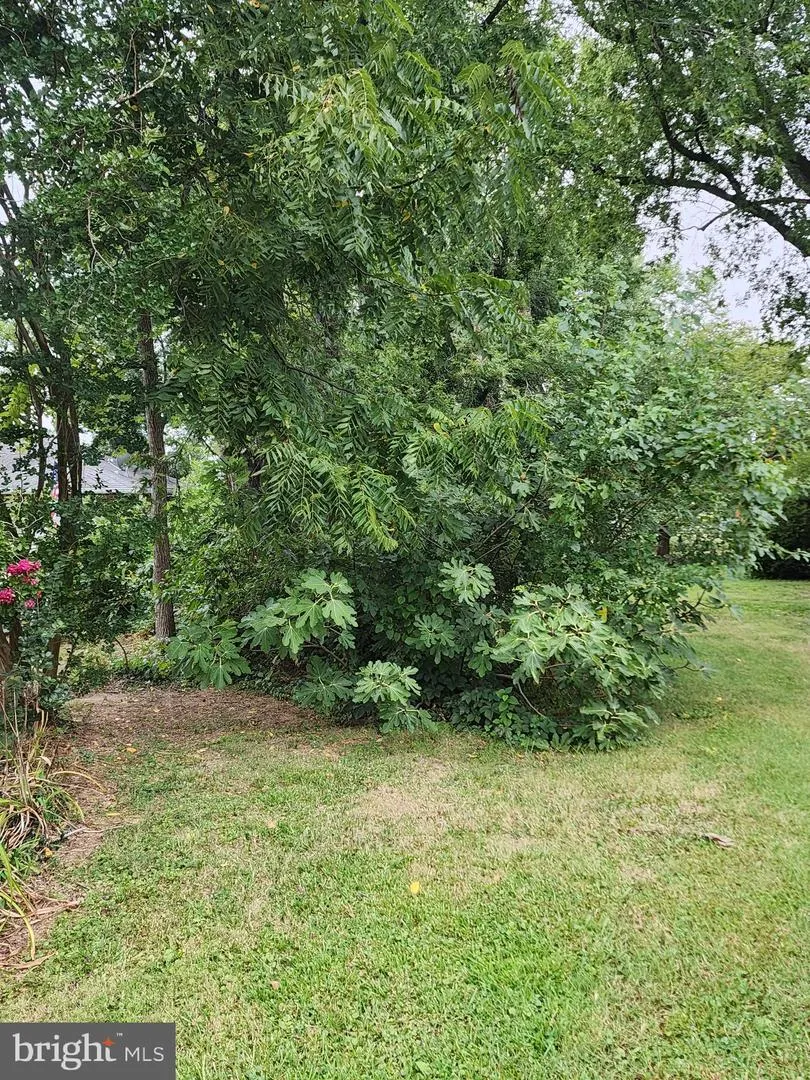 PARKS ROAD Chester, MD 21619