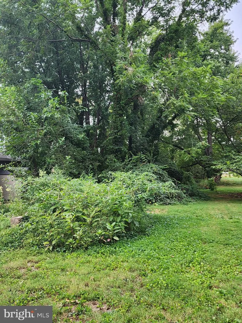 PARKS ROAD Chester, MD 21619