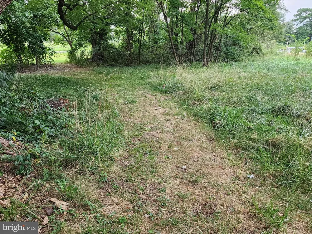 PARKS ROAD Chester, MD 21619