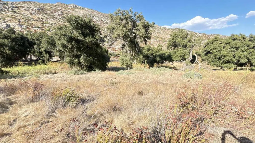 Hwy 94 Campo, CA 91906