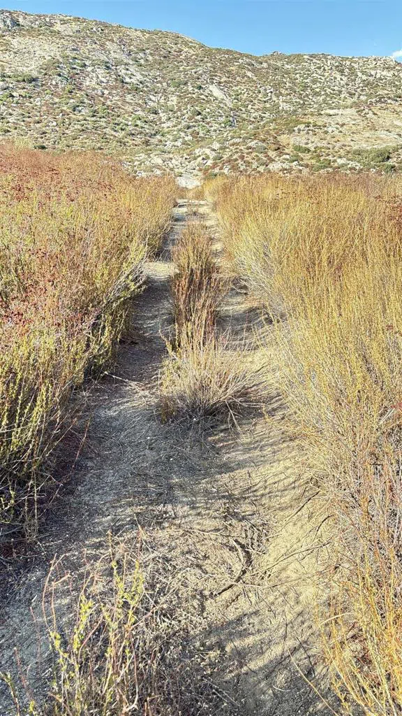 Hwy 94 Campo, CA 91906