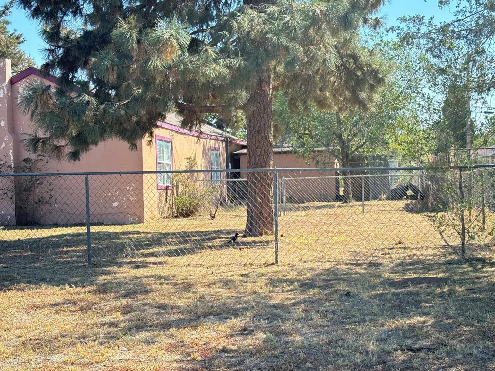 905 W Lynn Street Slaton, TX 79364