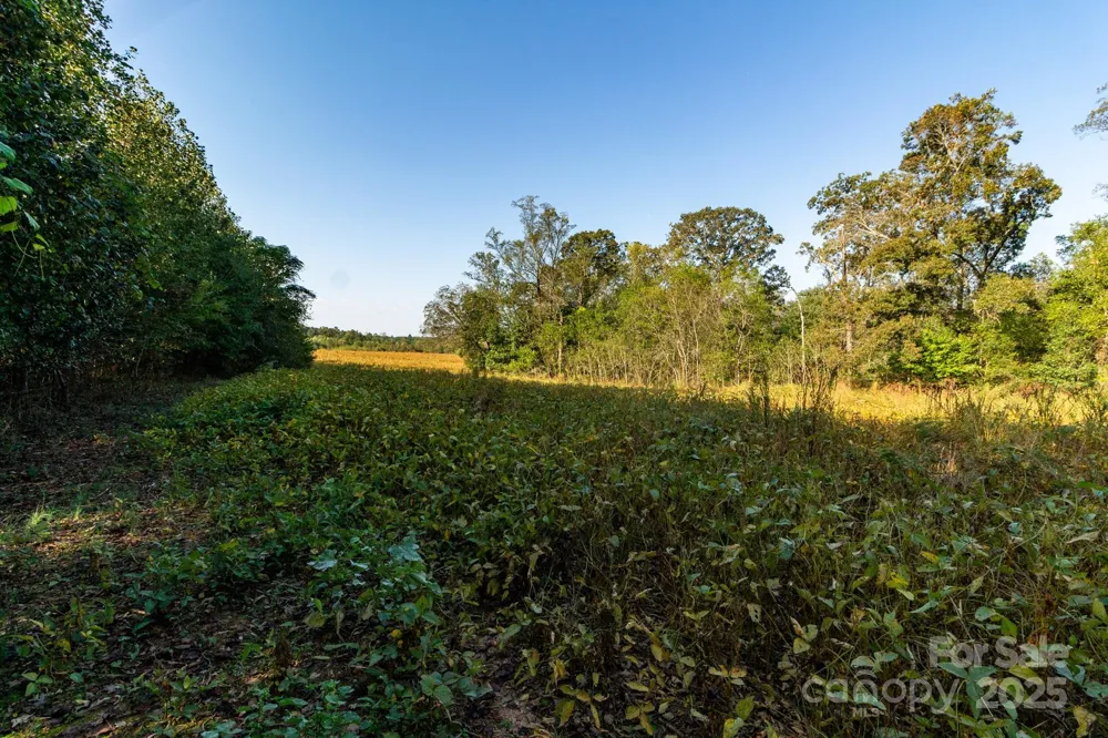00 Lattimore Road Shelby, NC 28150