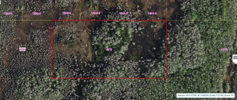 HOLOPAW GROVES ROAD