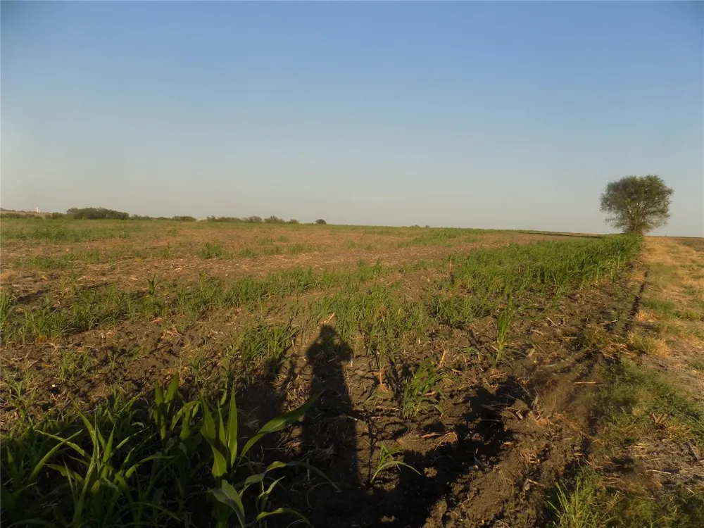 Krause Road Holland, TX 76534
