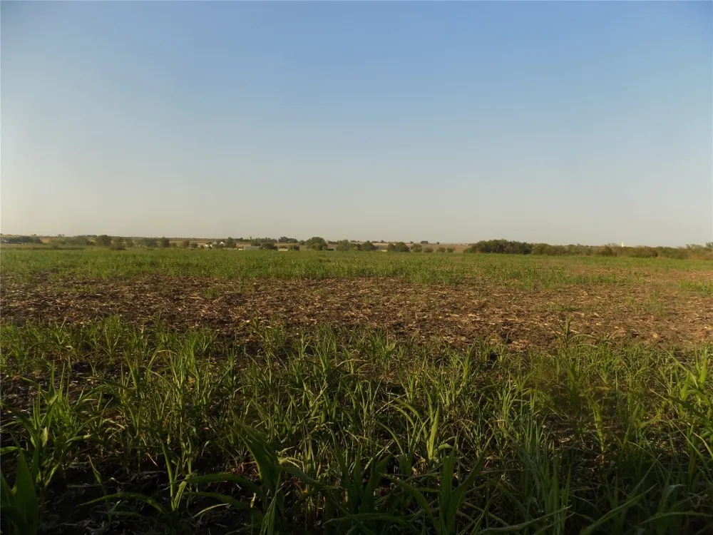 Krause Road Holland, TX 76534
