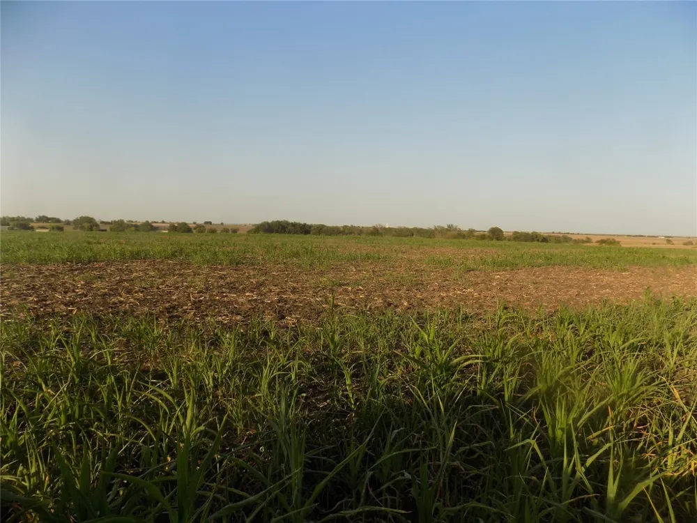 Krause Road Holland, TX 76534