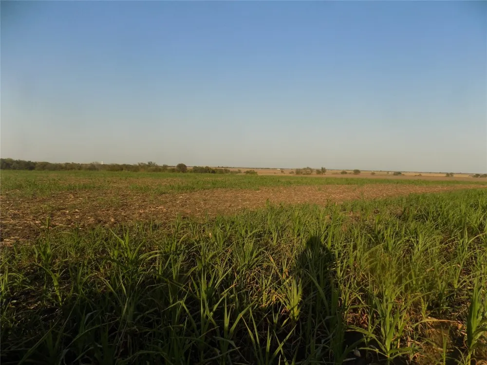 Krause Road Holland, TX 76534