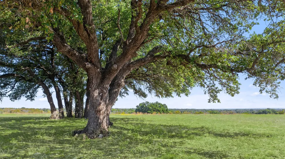 County Road 224 Lampasas, TX 76550