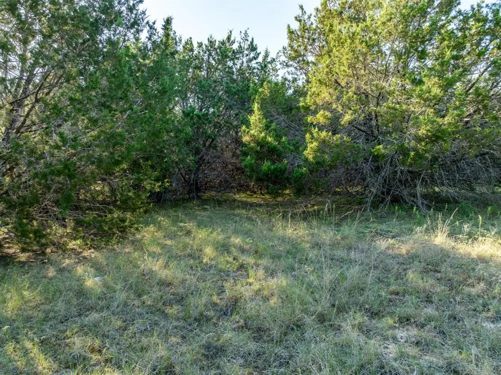 Tx-6 Clifton, TX 76634