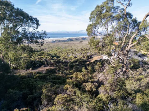 Pecho Valley Rd