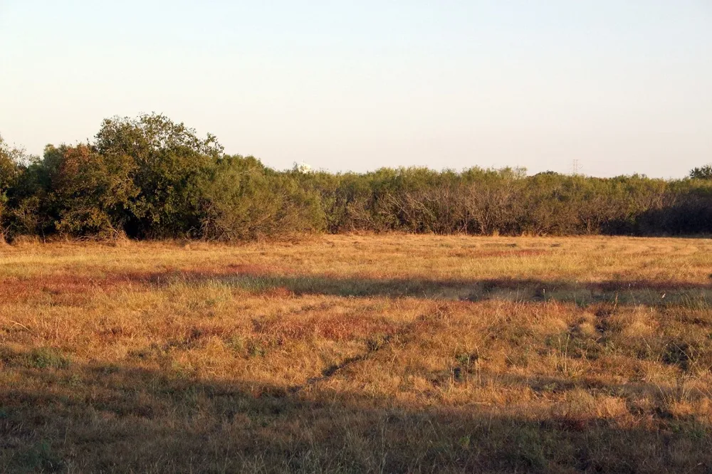11445 Fm 1854 Dale, TX 78616