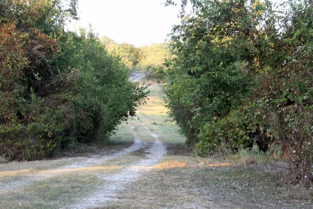 11445 Fm 1854 Dale, TX 78616